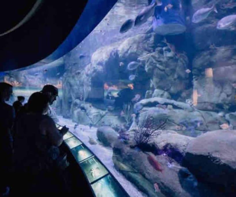 Ruzafa Oceanograf Science Center *