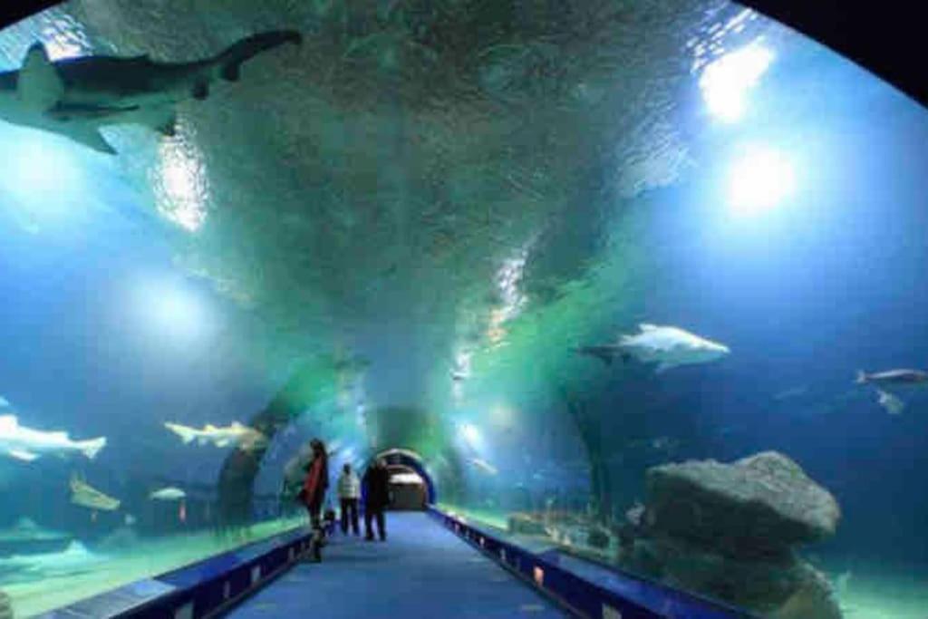 Apartamento Ruzafa Oceanograf Science Center *
